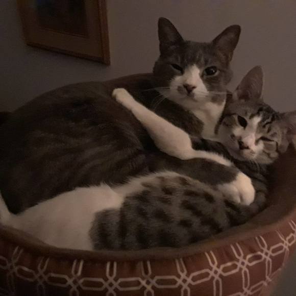 Meet your Posher, Sally - Picture 1 of 1